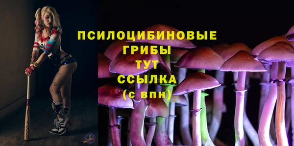 ПСИЛОЦИБИНОВЫЕ ГРИБЫ Новокубанск