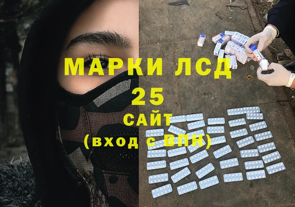 стаф Новодвинск