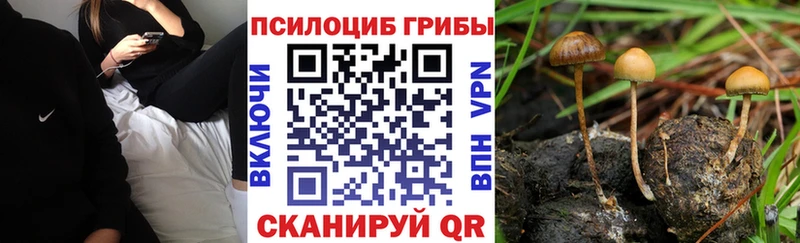 Псилоцибиновые грибы GOLDEN TEACHER  хочу наркоту  Рыльск 